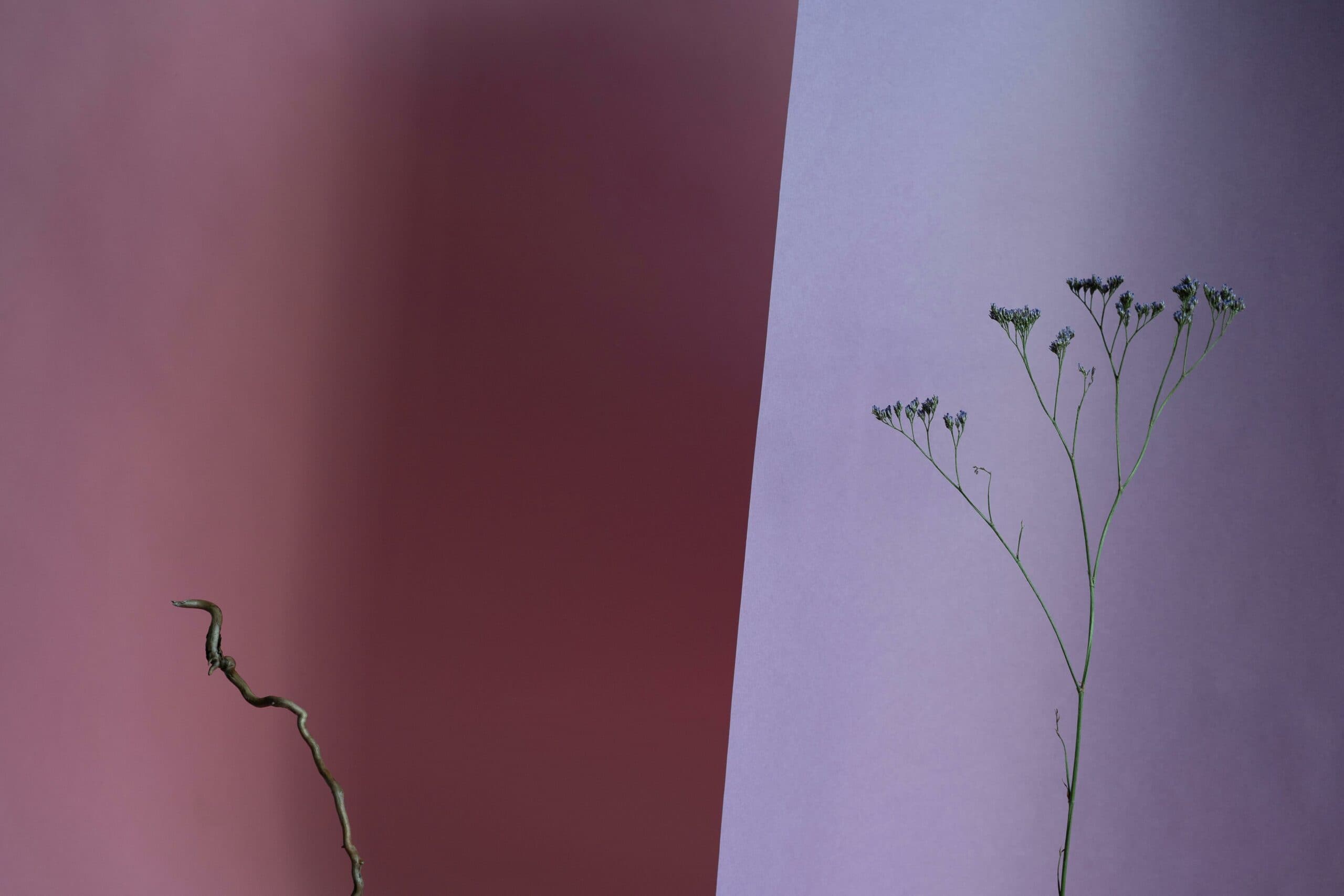 Floral Design & Brand Experiences